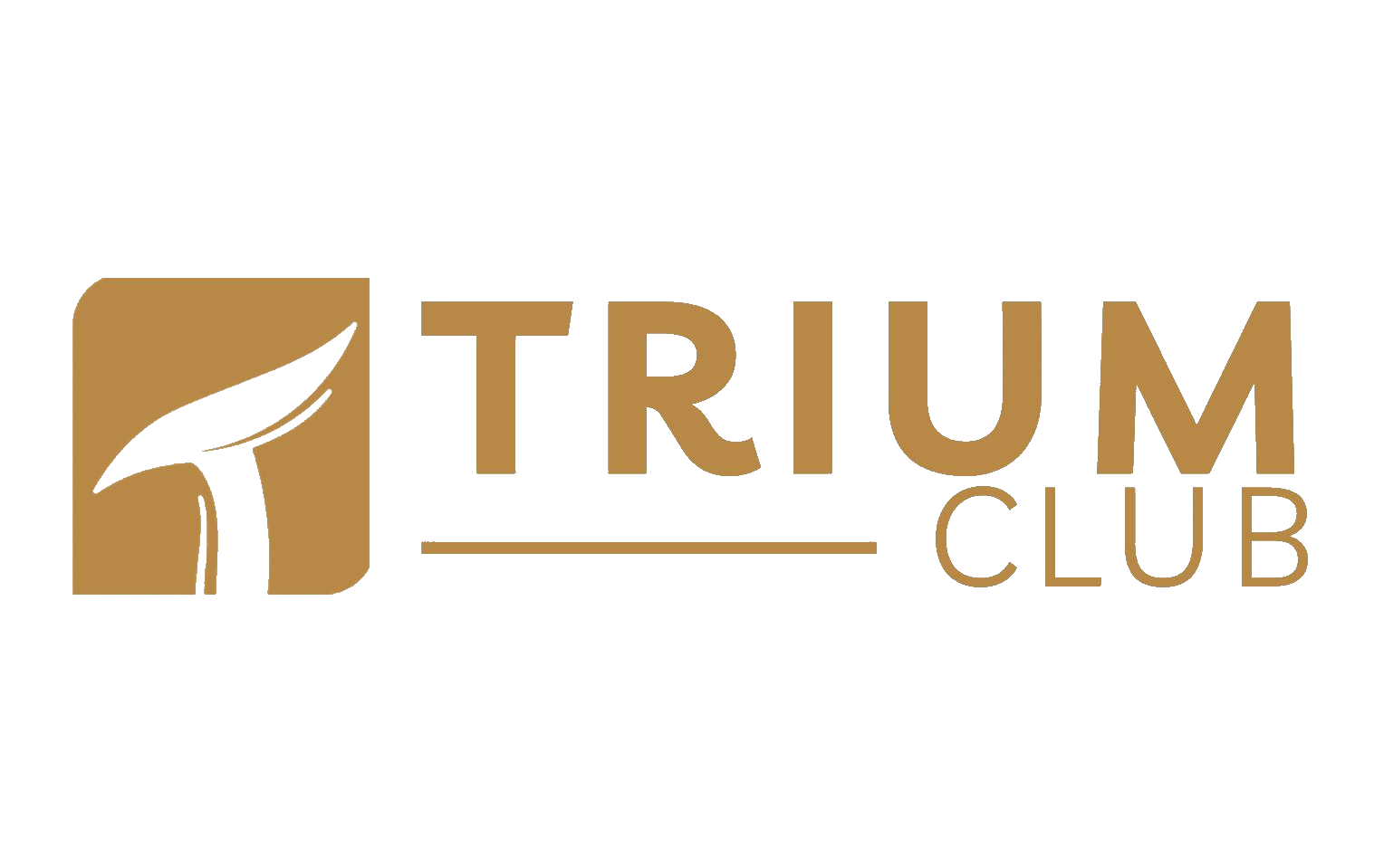 Logo Trium